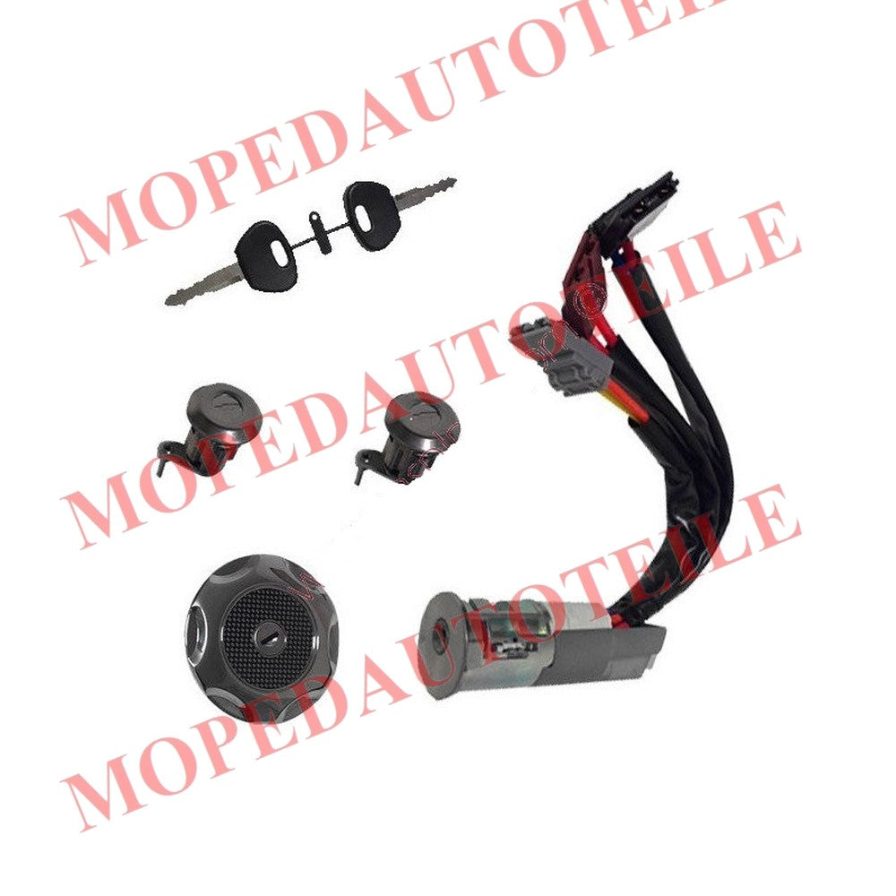 Schlössersatz, Ligier(JSRC), Microcar(M8/Mgo 1/2/ Due first)