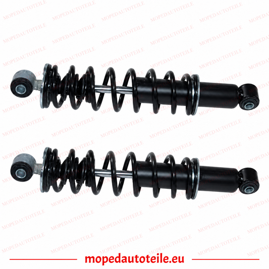 Stoßdämpfer Hinten 2er Set, Ligier IXO V1